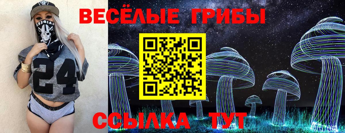 Галлюциногенные грибы Psilocybine cubensis Шебекино