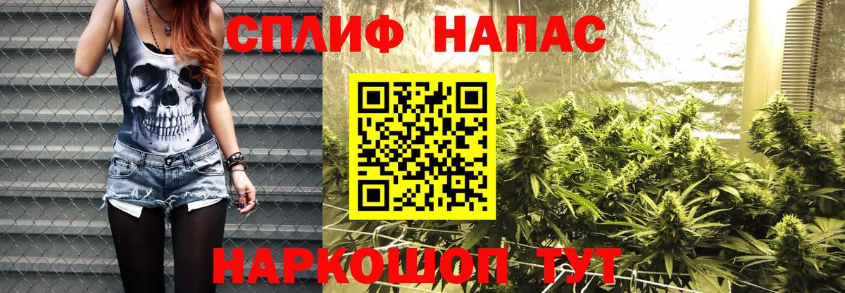 Канабис планчик Шебекино